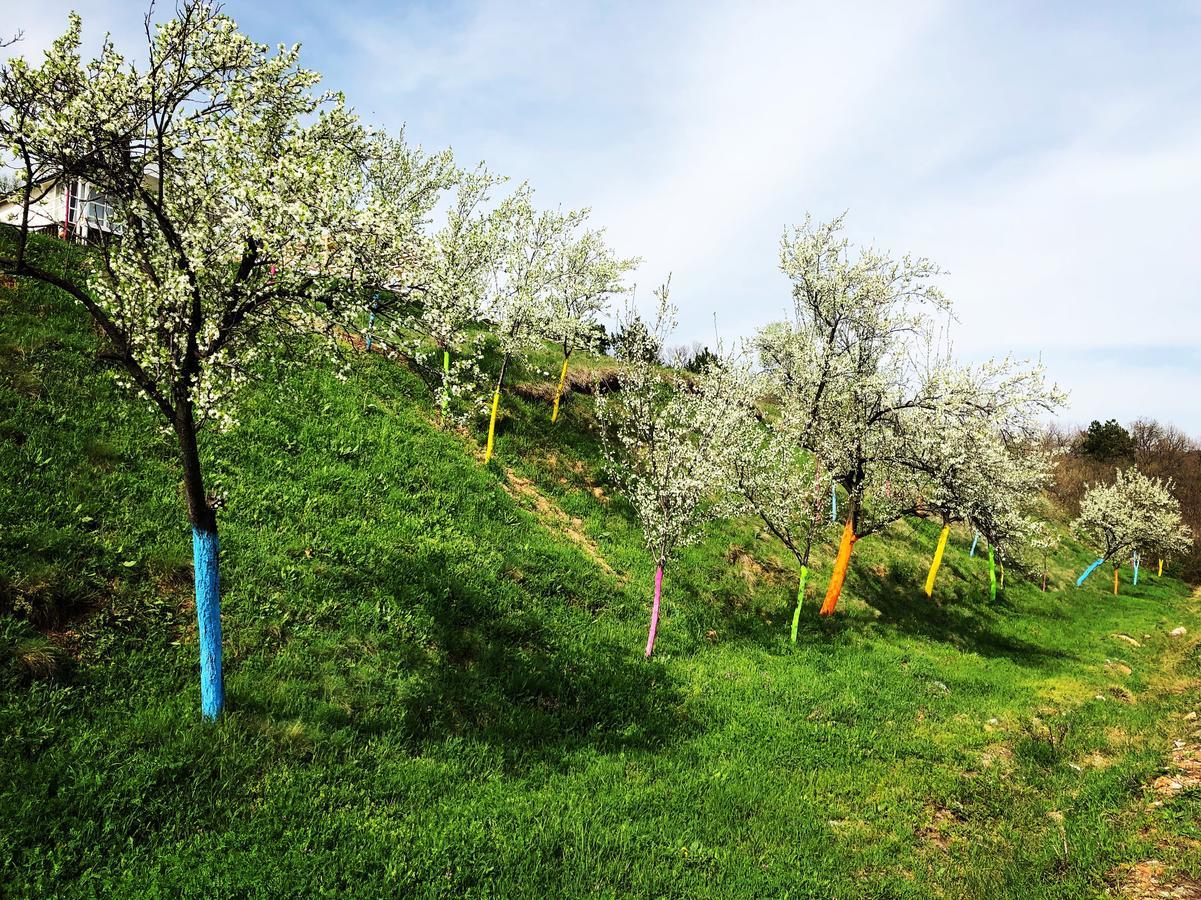 Dream Tricule Villa Svinita Bagian luar foto